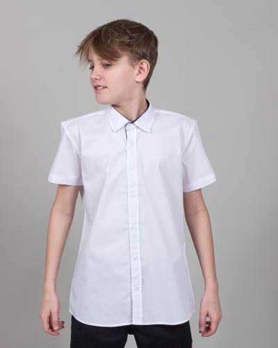 CEGISA 2463/2 Рубашка  фото