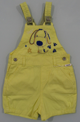 422795841_sani-shorty-na